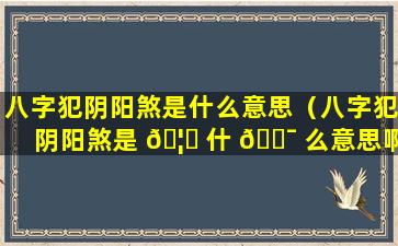 八字犯阴阳煞是什么意思（八字犯阴阳煞是 🦅 什 🐯 么意思啊）